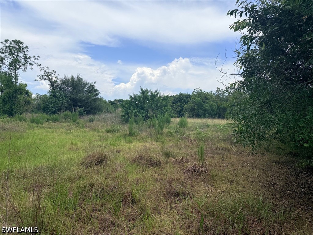 925 Purple Martin Dr Property Photo 35
