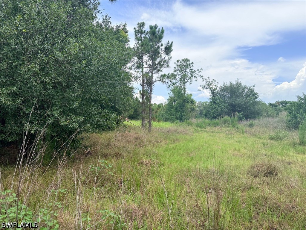 925 Purple Martin Dr Property Photo 36