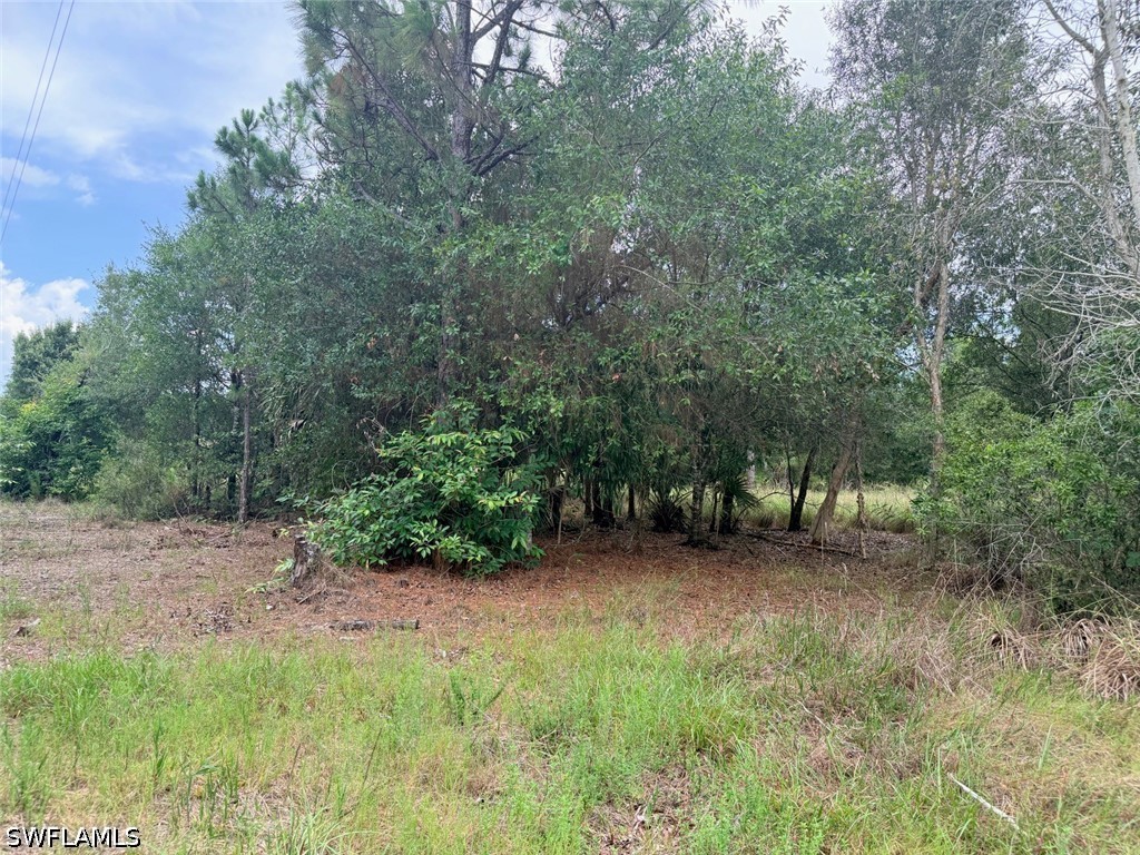 925 Purple Martin Dr Property Photo 37