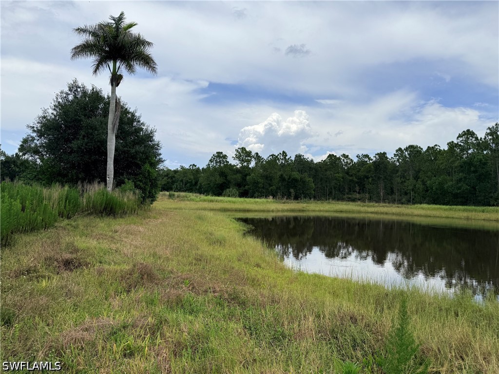 925 Purple Martin Dr Property Photo 38