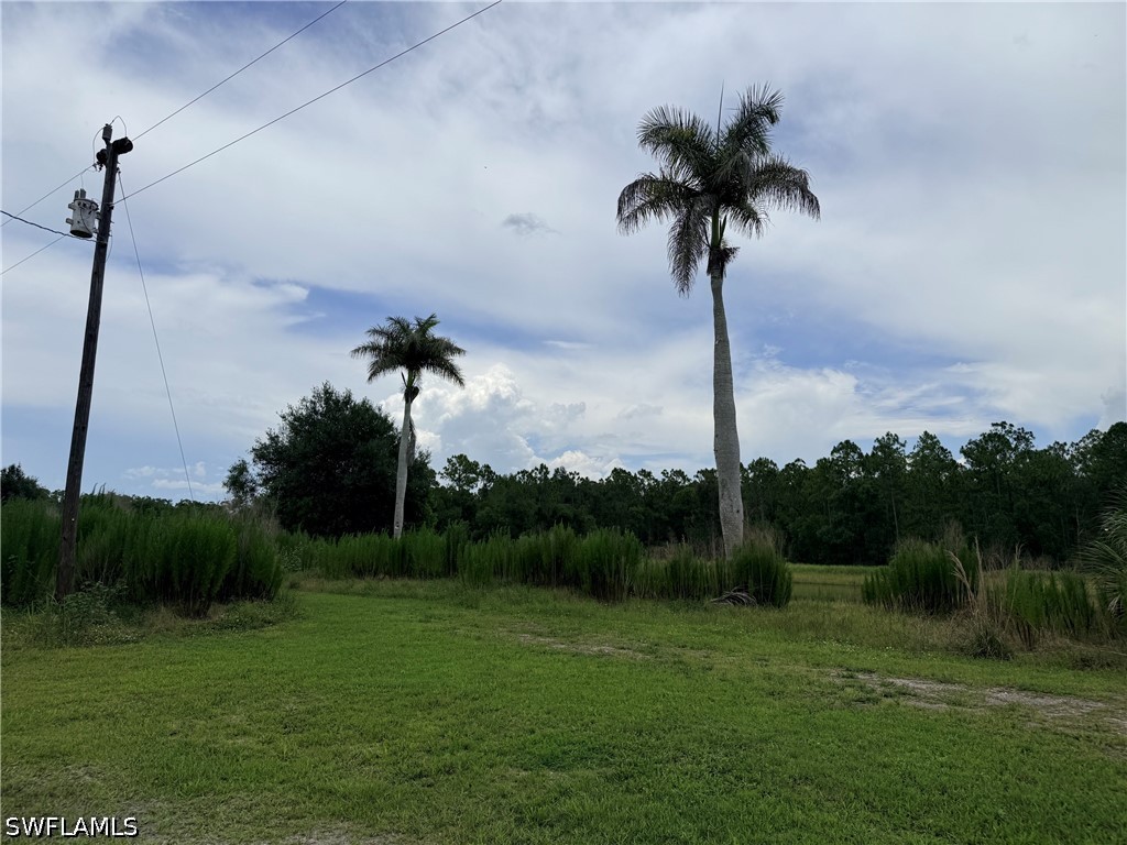 925 Purple Martin Dr Property Photo 44
