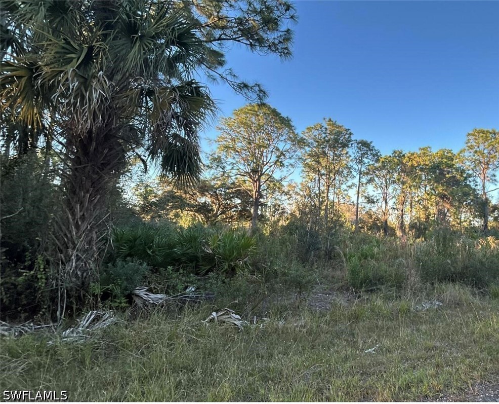 1945 Roderick LN Property Photo 1