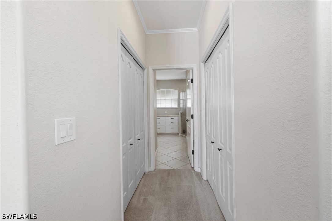 12445 Muddy Creek Ln Property Photo 28