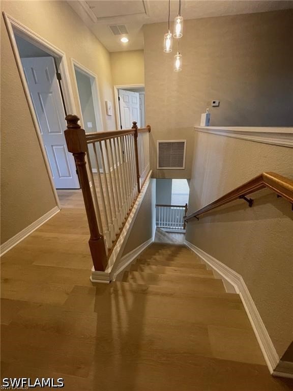 20013 Larino Loop Property Photo 15
