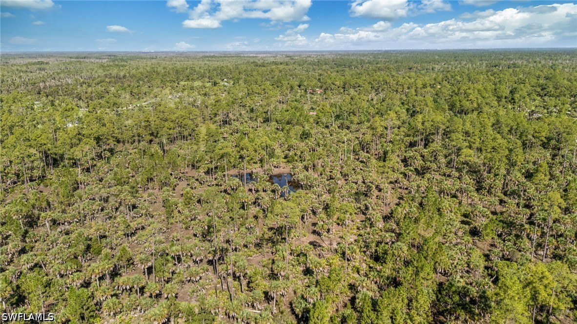 6010 Lee Williams Rd Property Photo 13