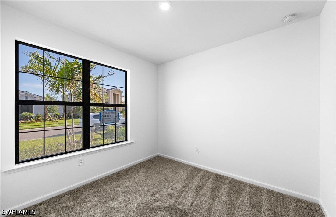 3849 Passion Vine Dr Property Photo 17
