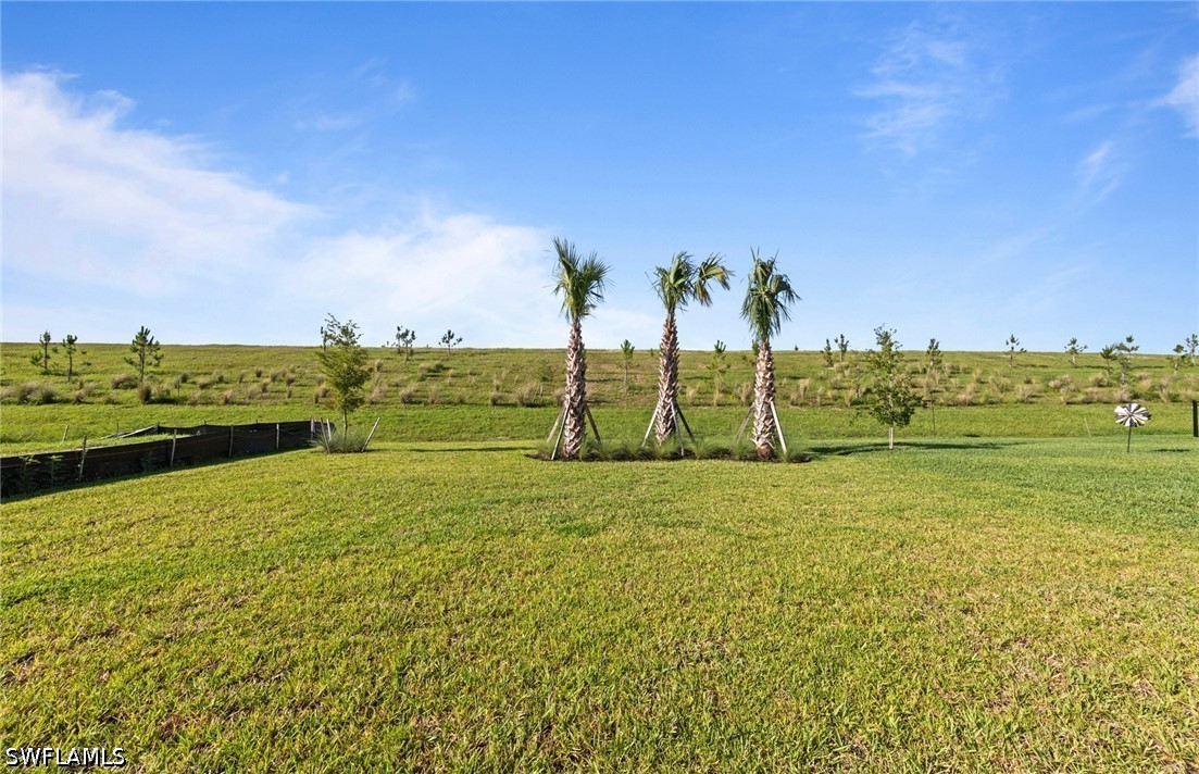 3849 Passion Vine Dr Property Photo 29