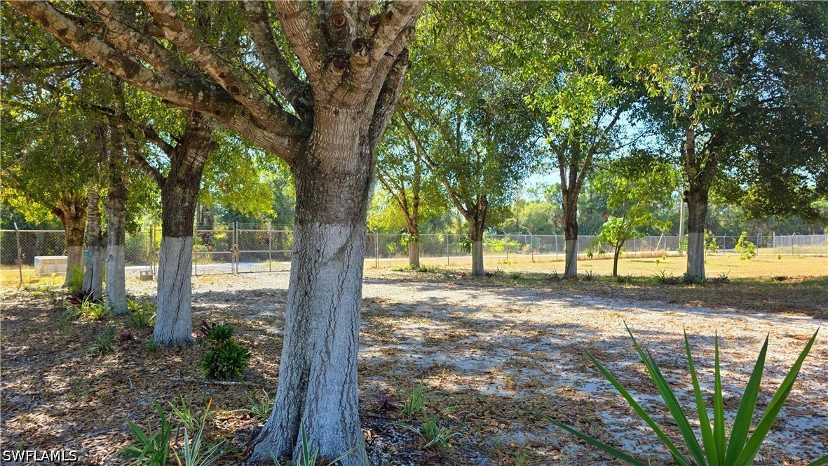 527 Perimeter Property Photo 30