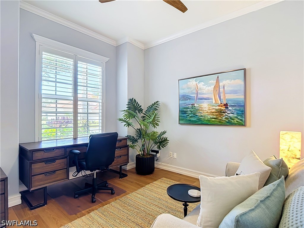 226024741 Property Photo 6