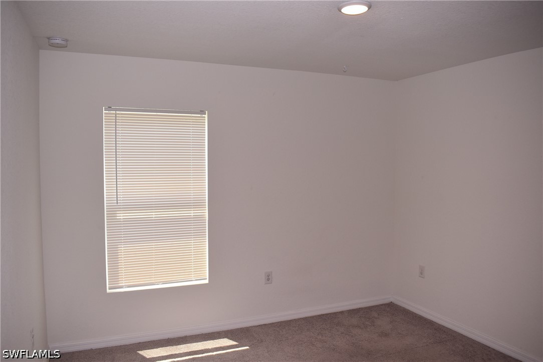 4795 Lacoco St Property Photo 12