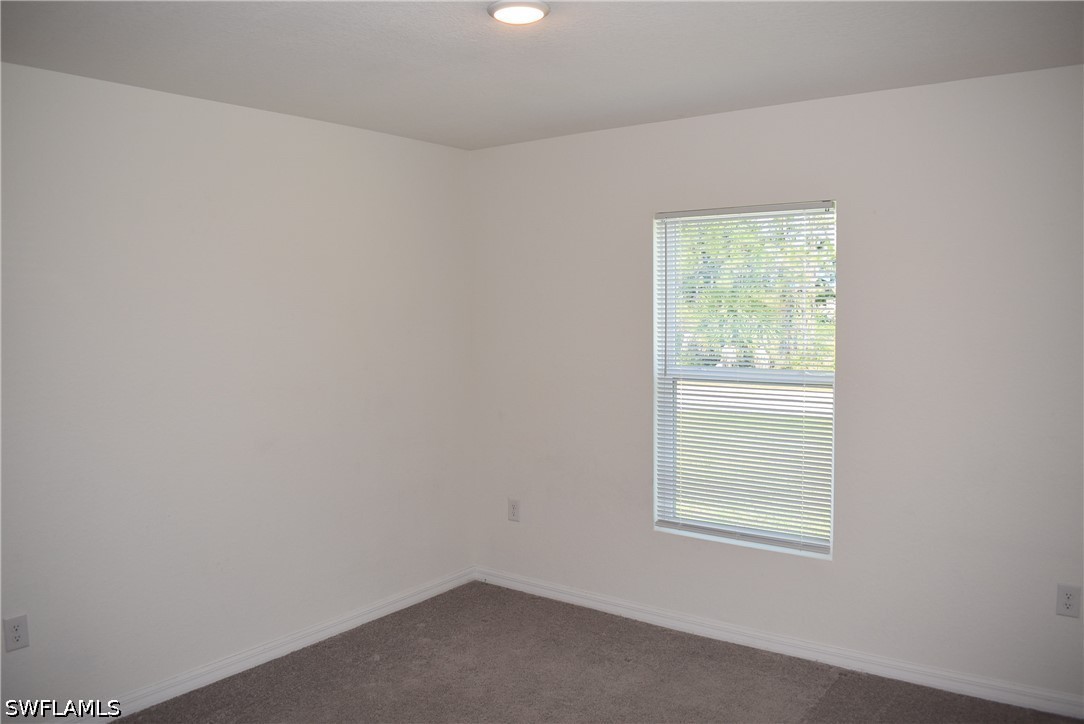4795 Lacoco St Property Photo 15