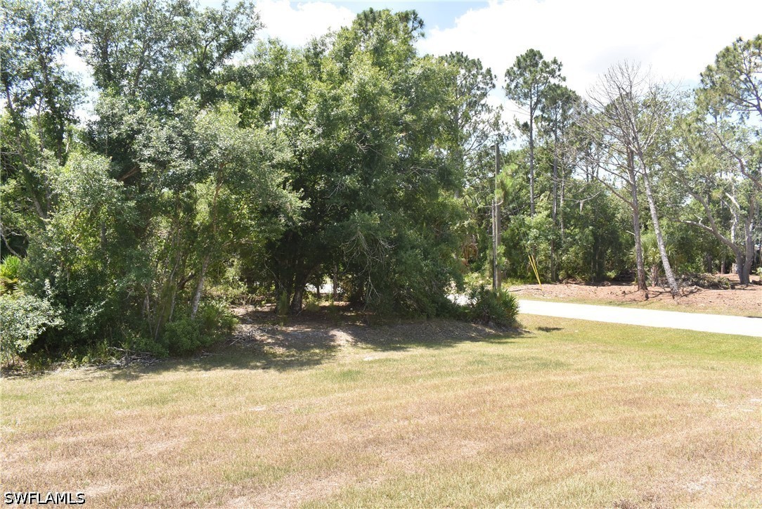 4795 Lacoco St Property Photo 17