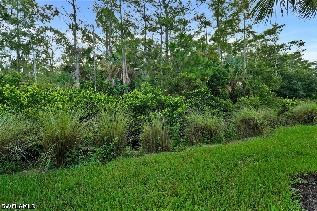 6820 Winding Cypress Dr Property Photo 7