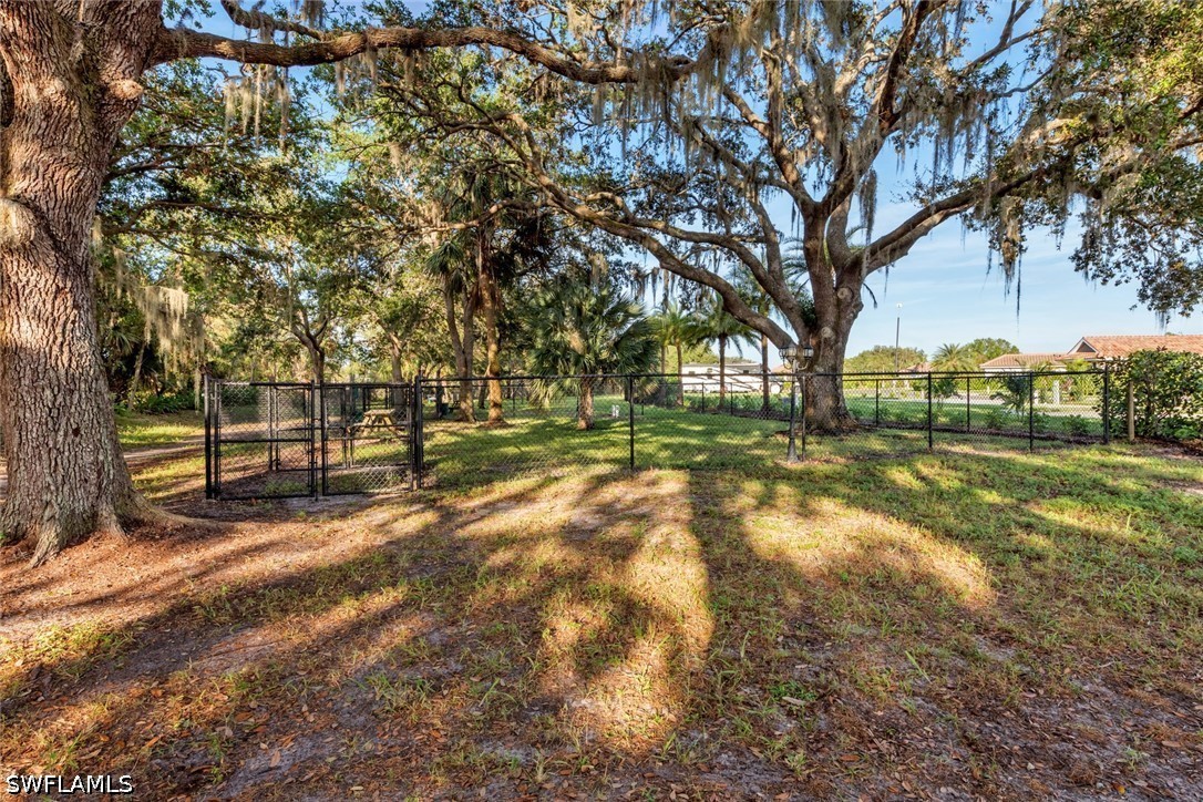 13424 Golden Palms Cir Property Photo 14