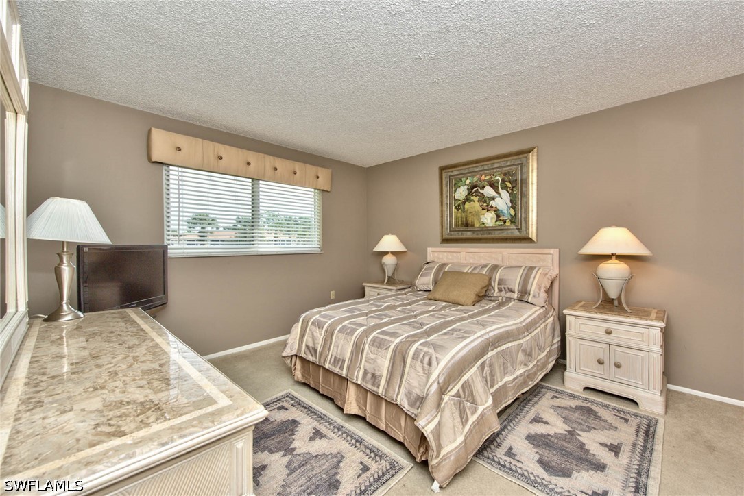 175 Turtle Lake Ct 210 Property Photo 11