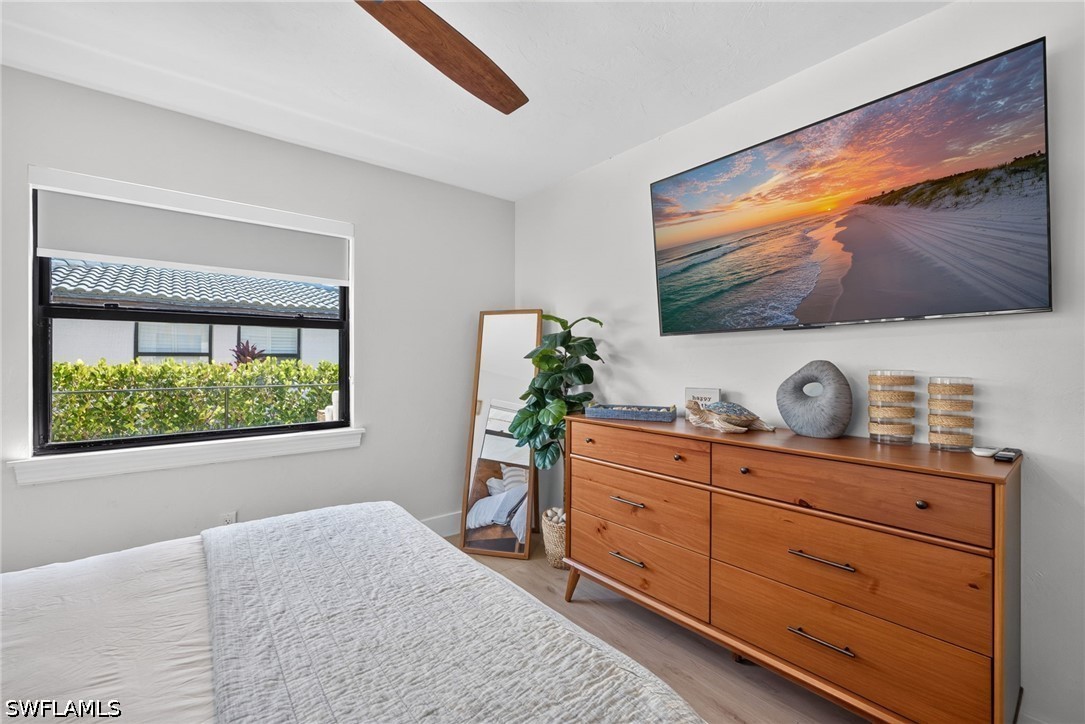 169 Ibis St Property Photo 25