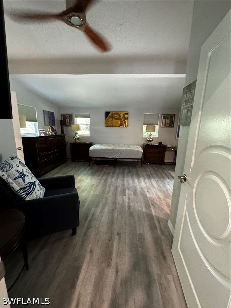 226028819 Property Photo 34
