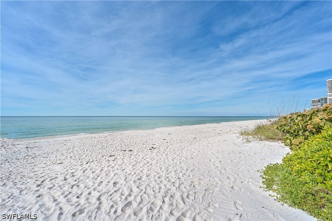 4551 Gulf Shore Blvd N 201 Property Photo 39