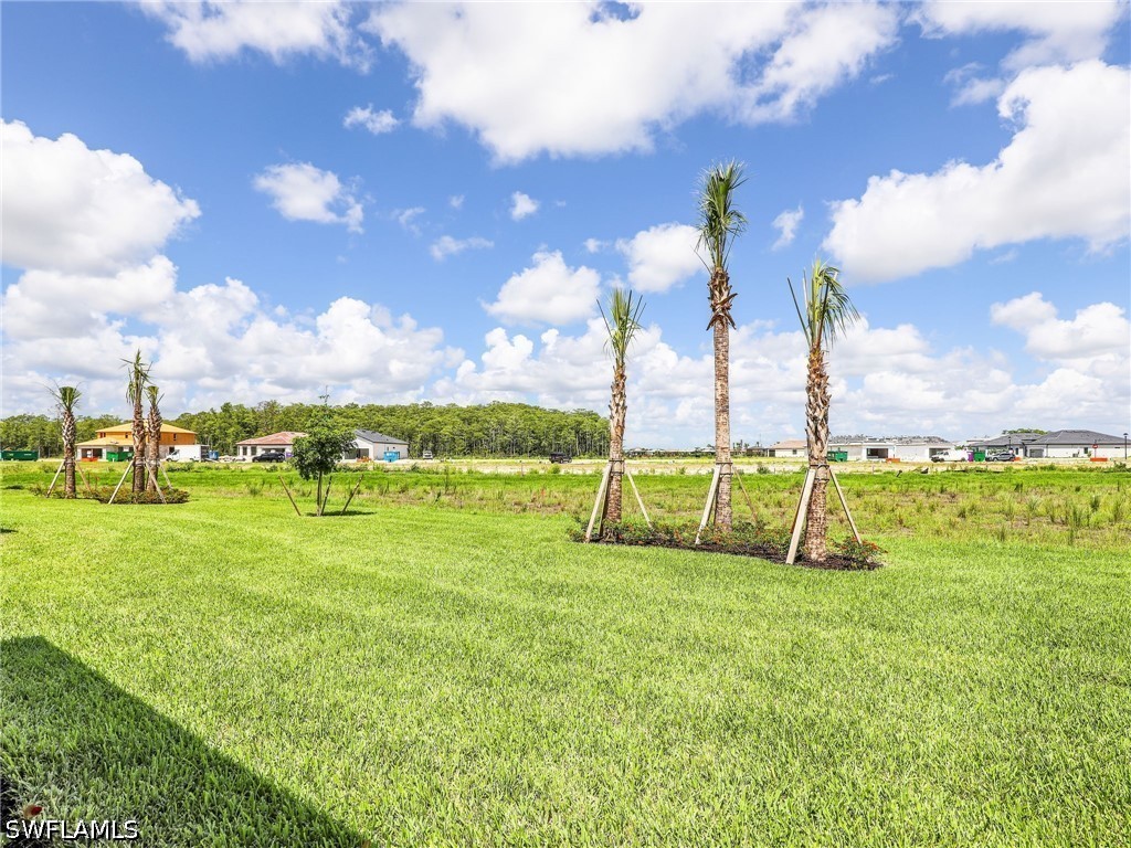 20416 Verawood Loop Property Photo 36