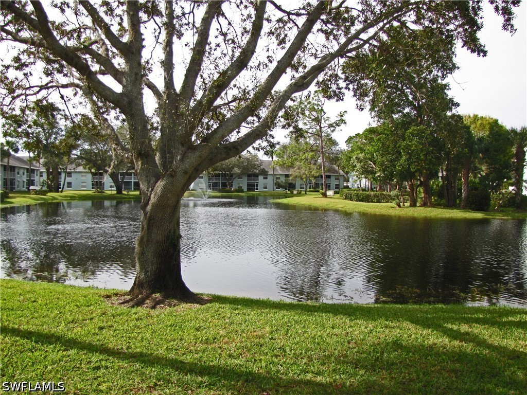 125 Wading Bird Cir 106 Property Photo 1