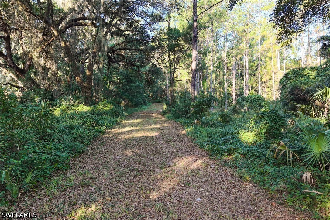 6301 E County Road 316 Property Photo 17