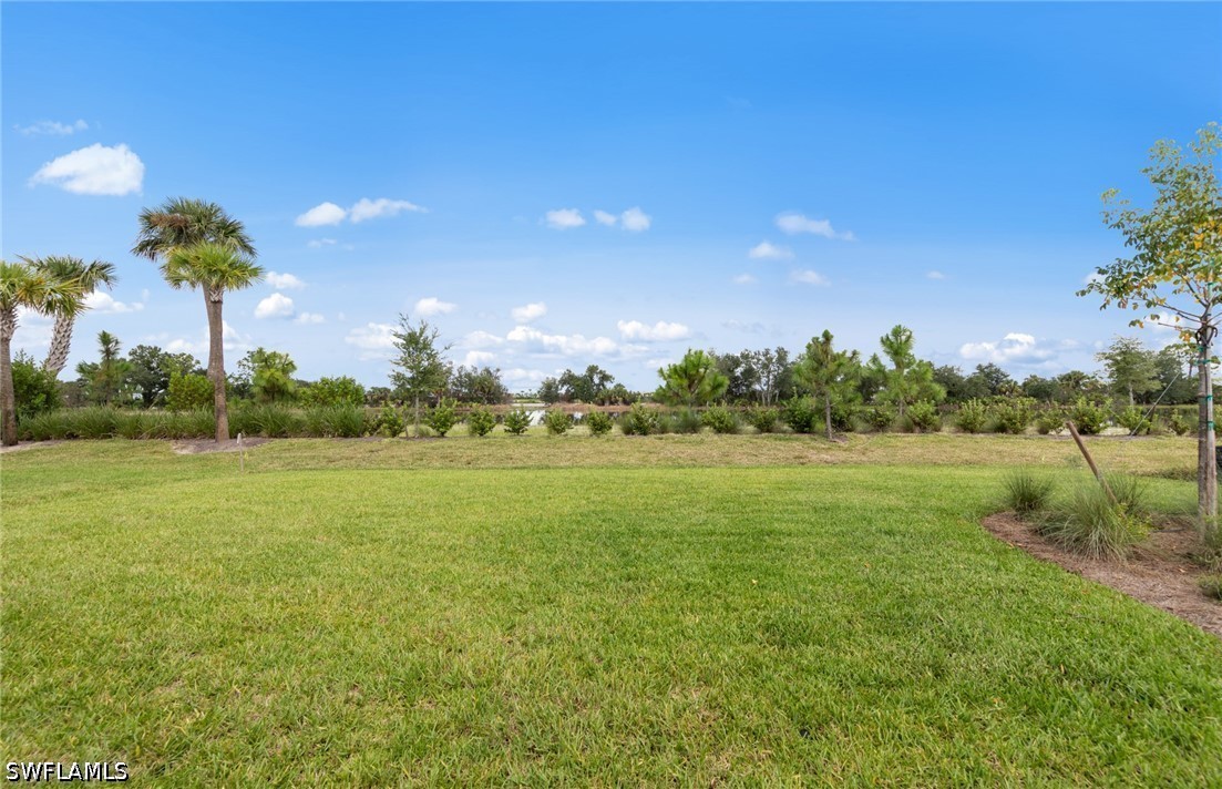 12408 Basalt Ln Property Photo 22