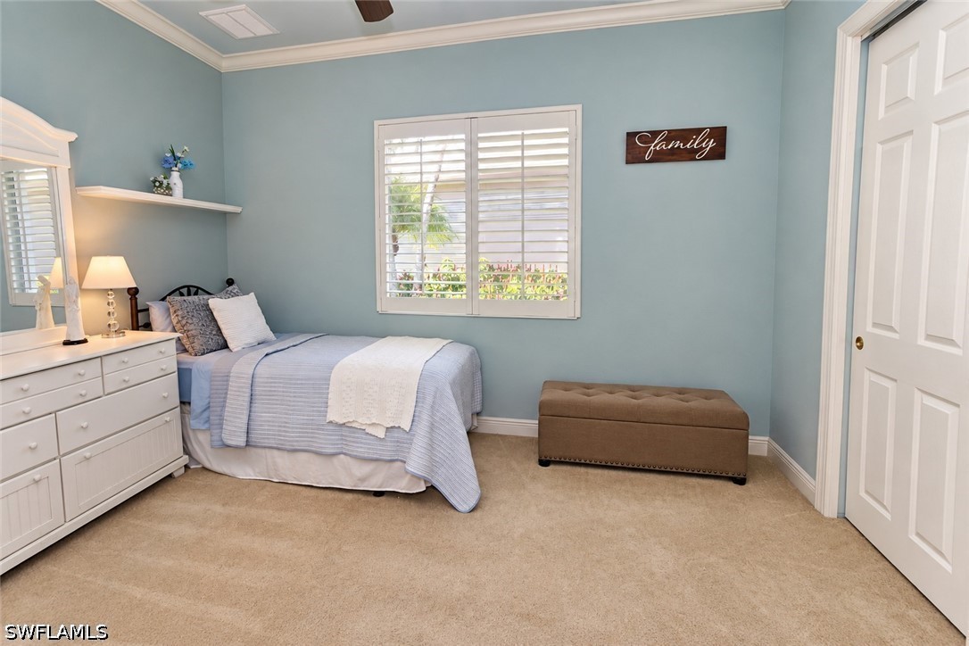 7491 Treeline Dr Property Photo 22