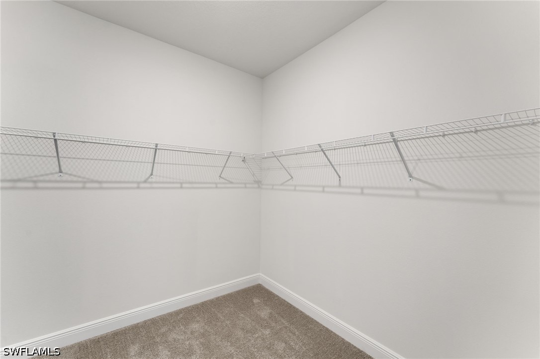 17013 Great Heron Ln Property Photo 28
