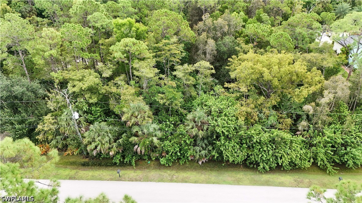 24509 Red Robin Dr Property Photo 2