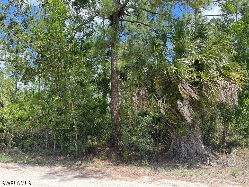 1930 Blue Sage Dr Property Photo 10