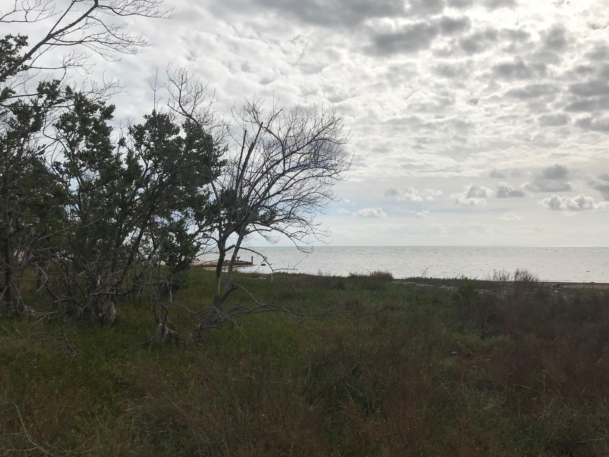 Lots 16-17 Overseas Highway Property Photo 1