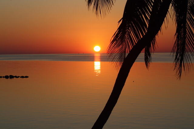 75131 Overseas Highway Property Photo 20