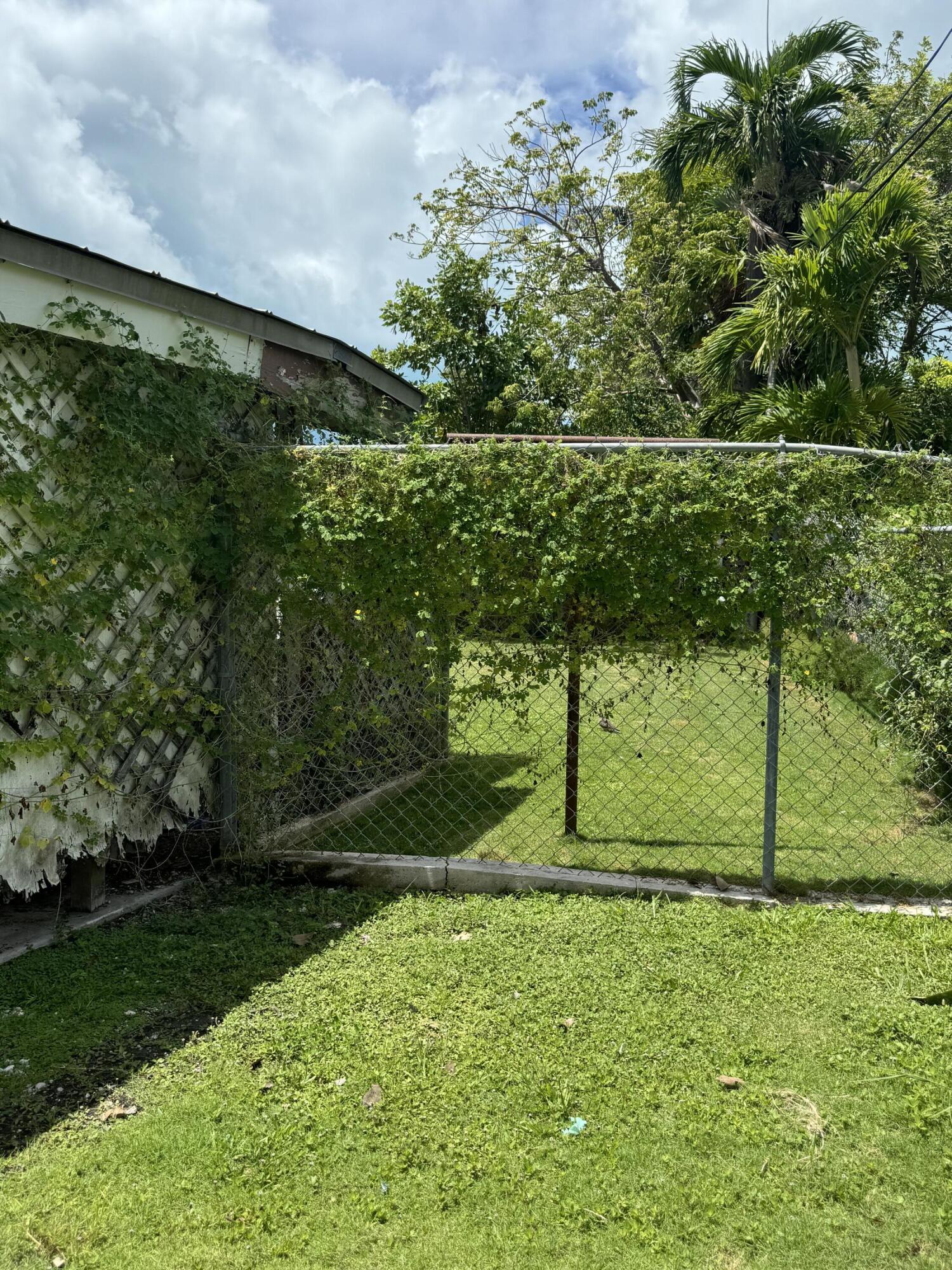 1521 Rose Street Property Photo 6