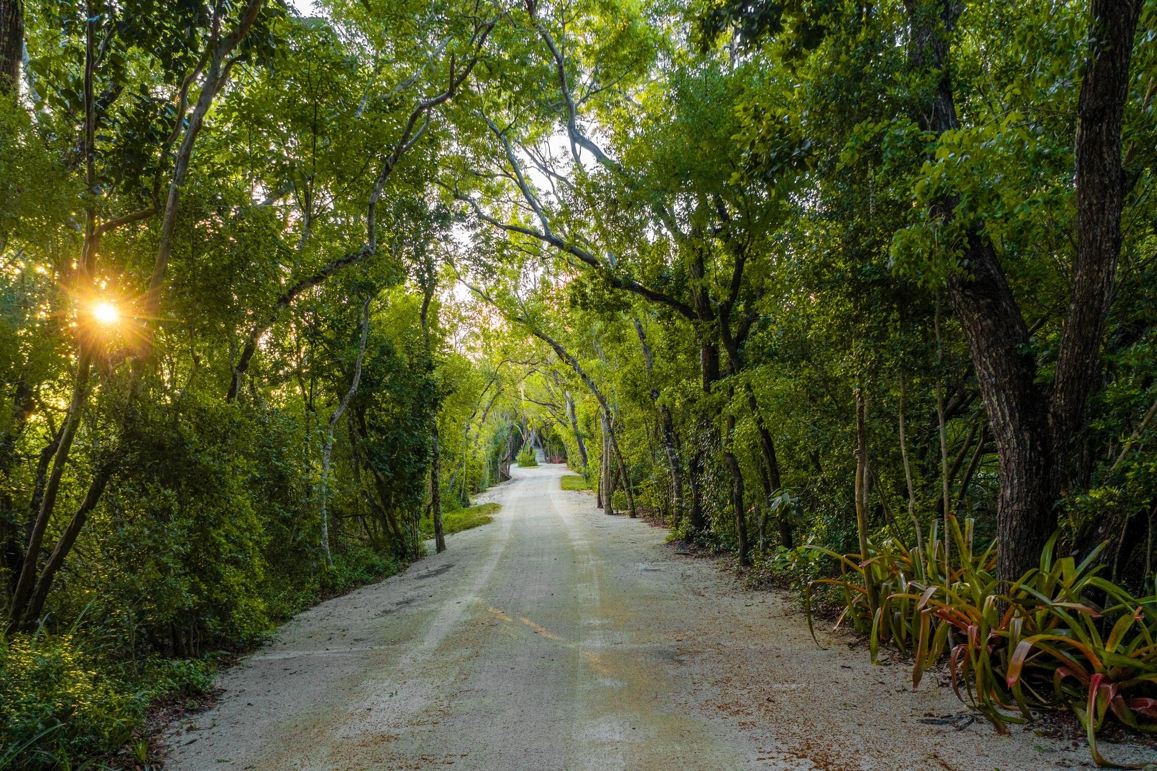 94100 Overseas Highway Property Photo 3