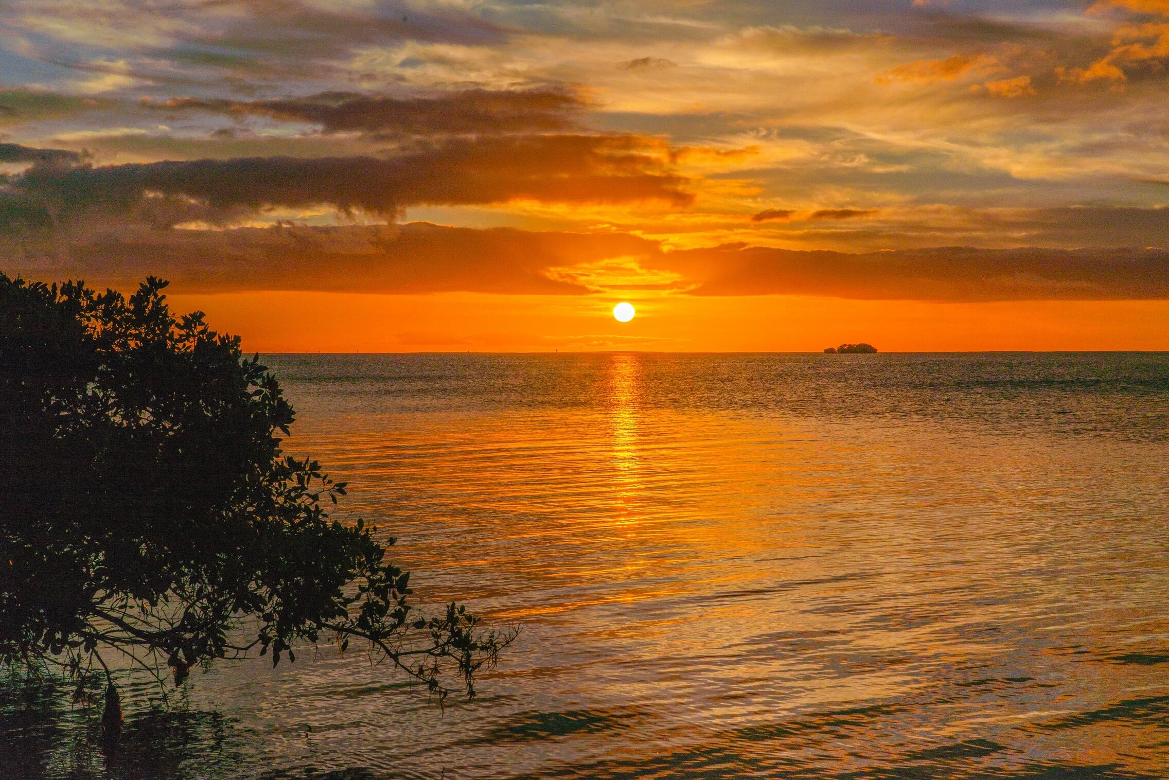 94100 Overseas Highway Property Photo 61