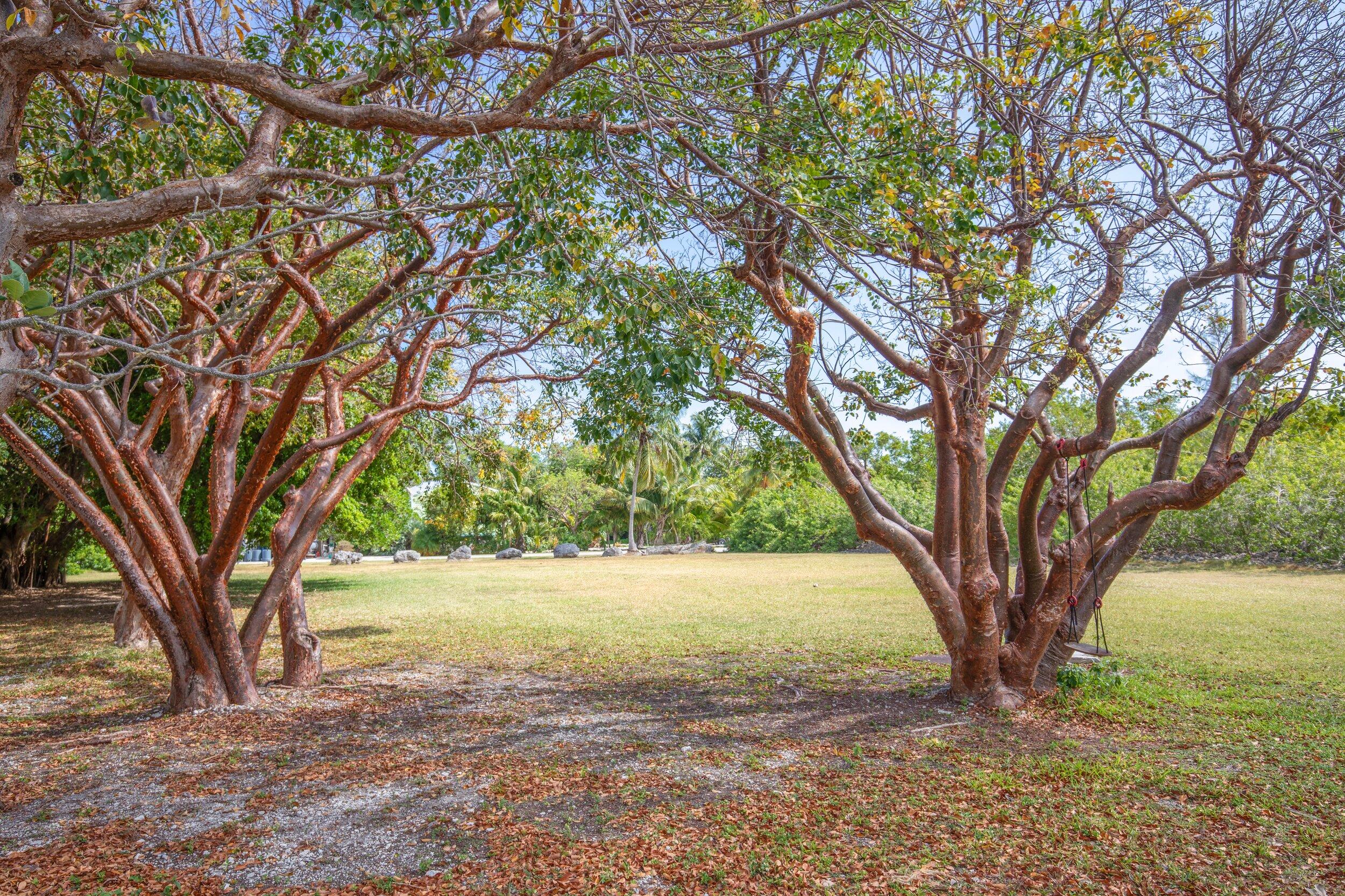 19657 Seminole Street Property Photo 9