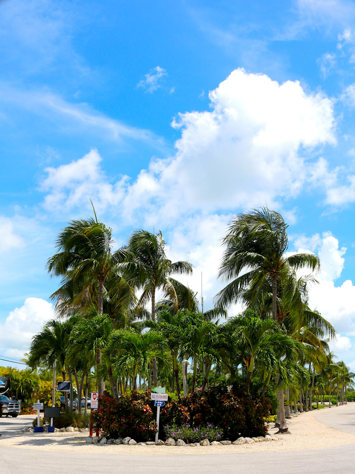 2950 Overseas Highway, 50 Property Photo 45
