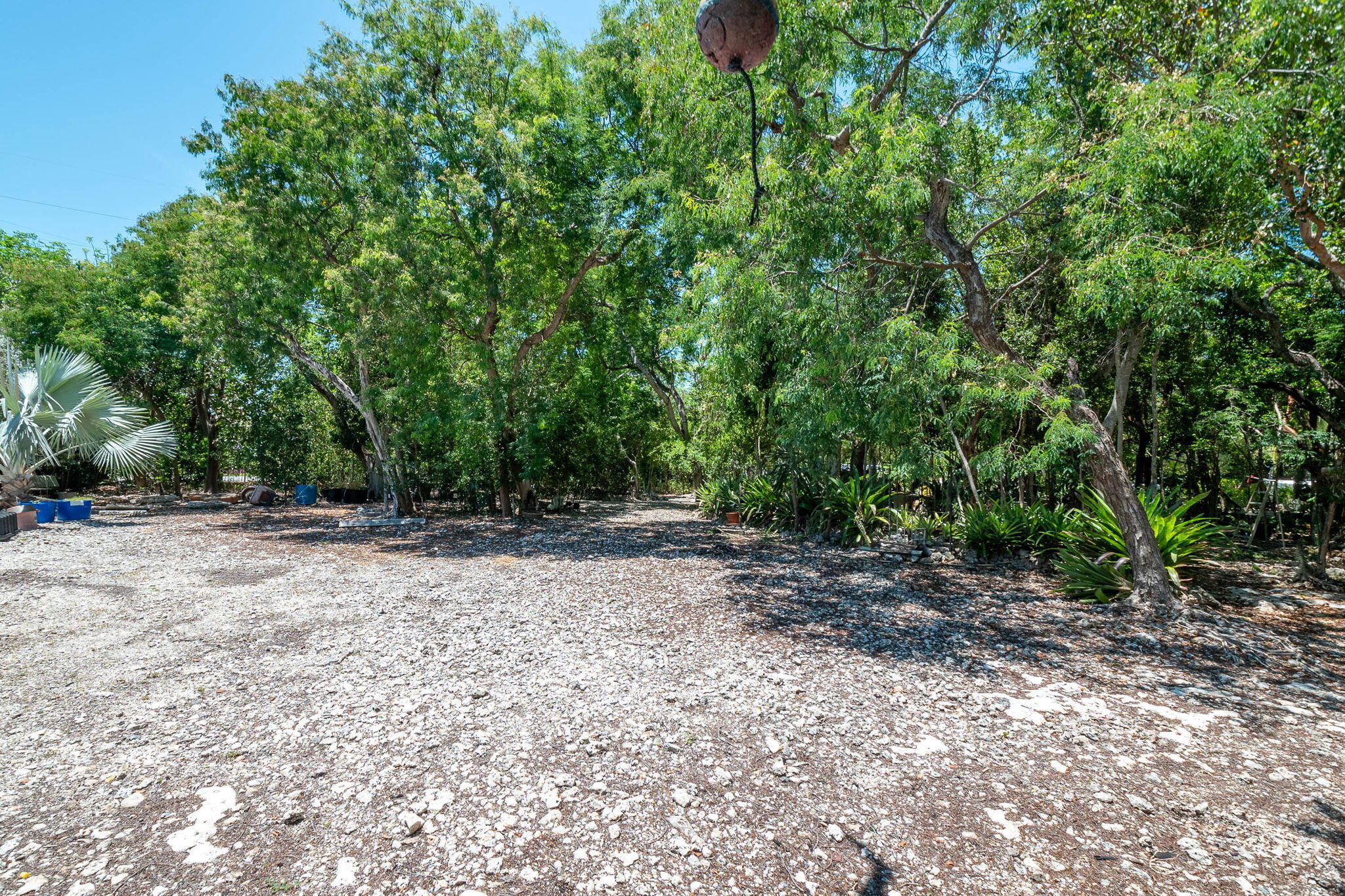 306 Lime Street Property Photo 15