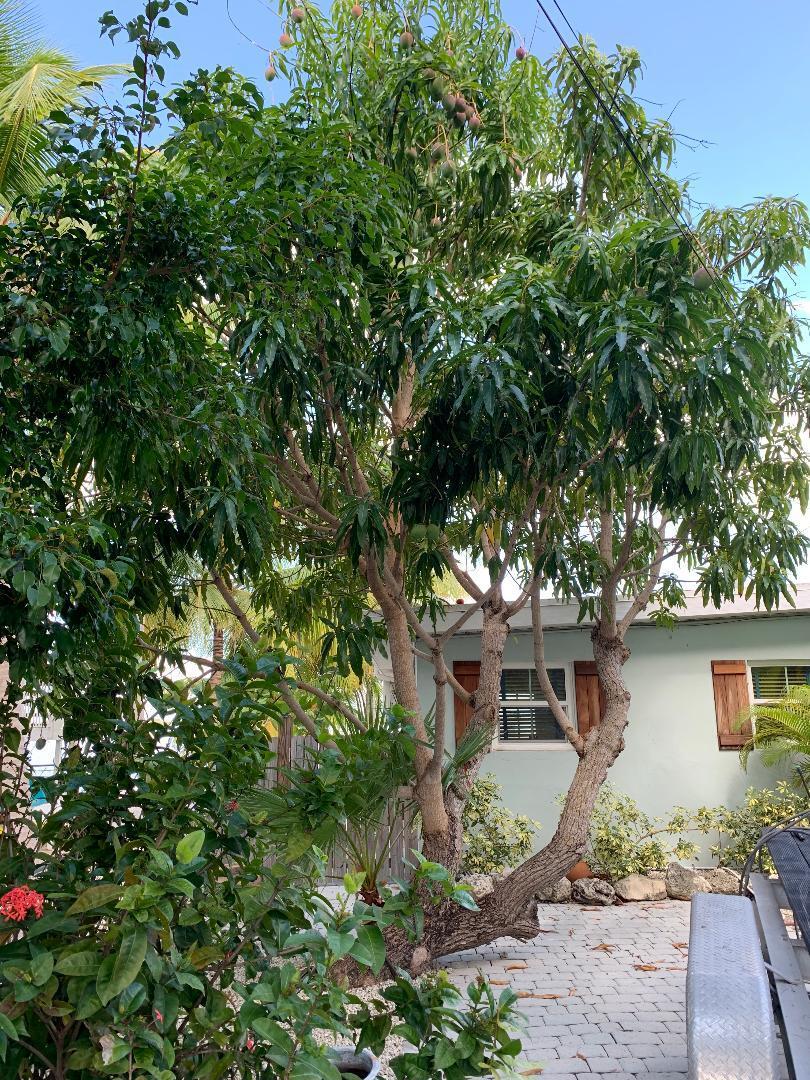 1136 W Shore Drive Property Photo 54