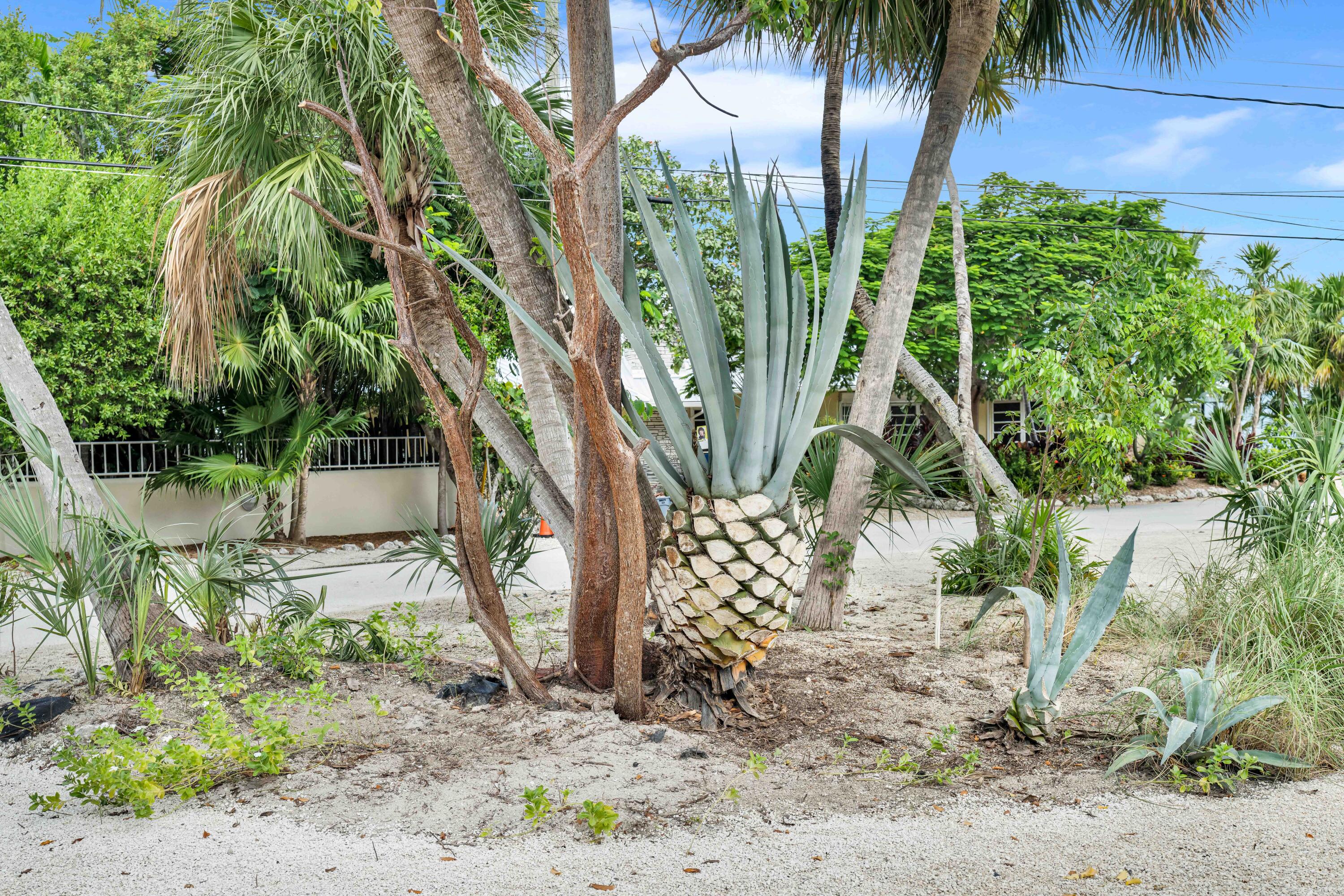 7563 Gulfstream Boulevard Property Photo 41