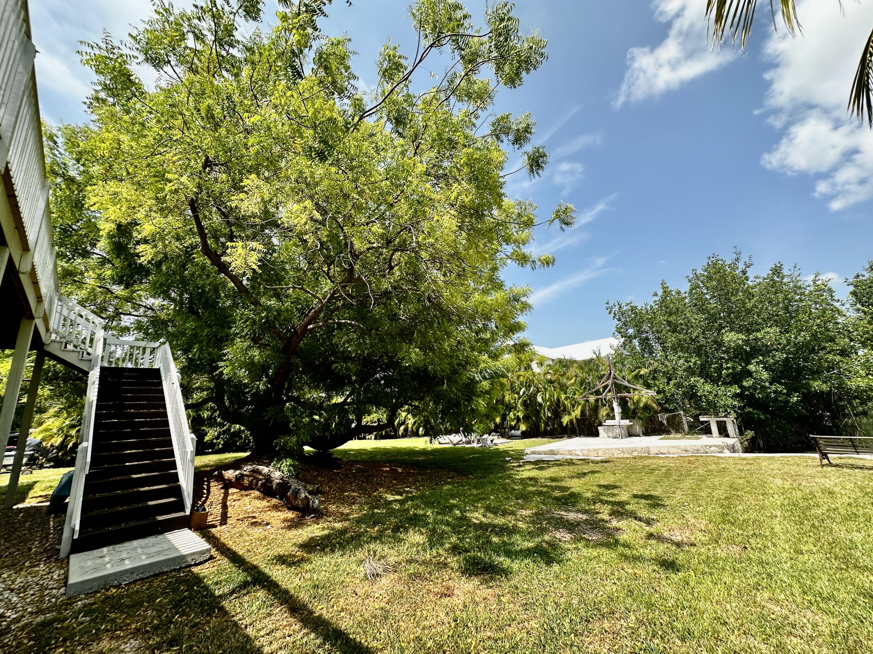 19749 Date Palm Drive Property Photo 50