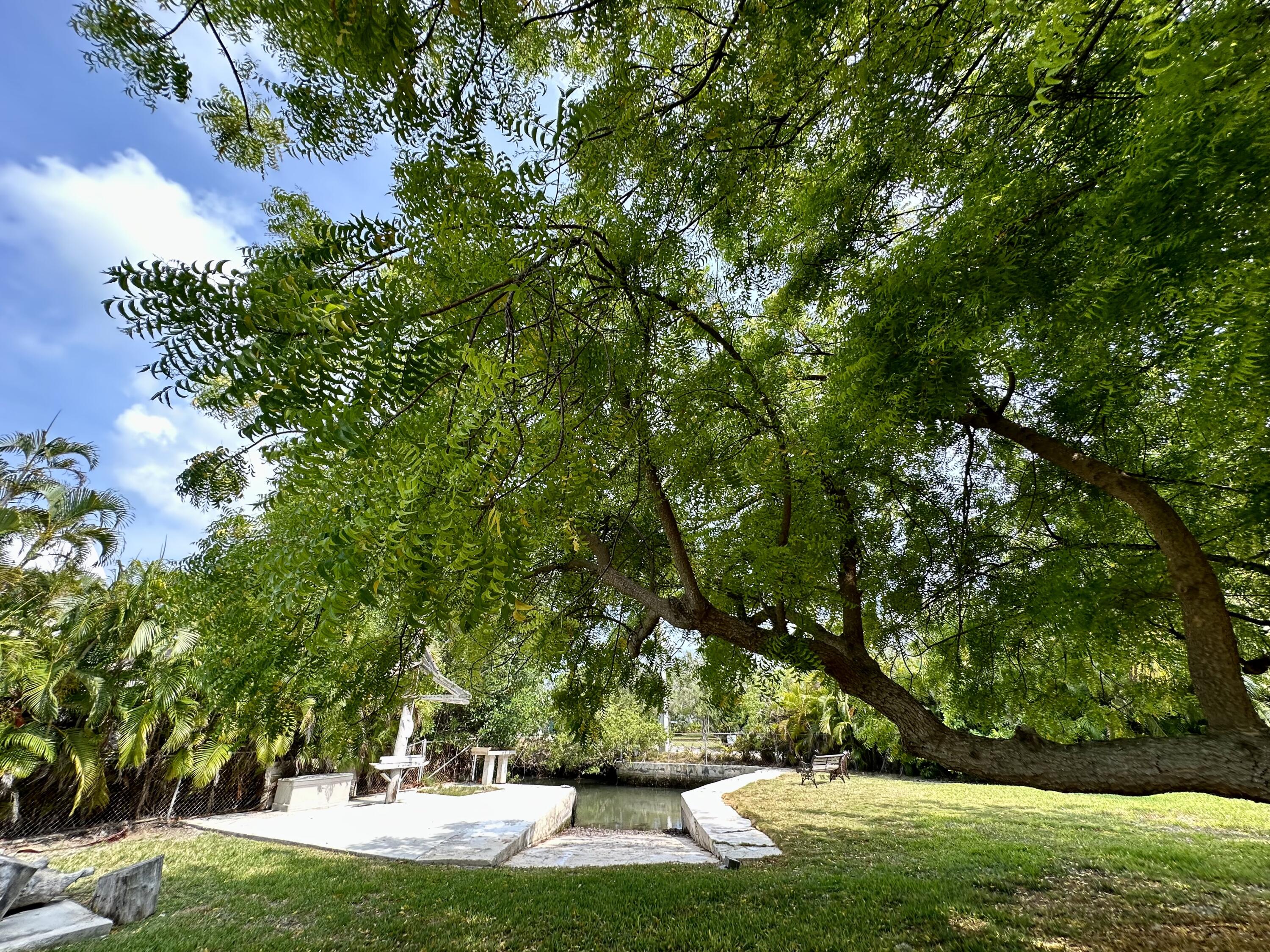 19749 Date Palm Drive Property Photo 64