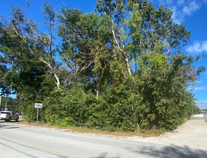 0 Mahogany Drive Property Photo 3
