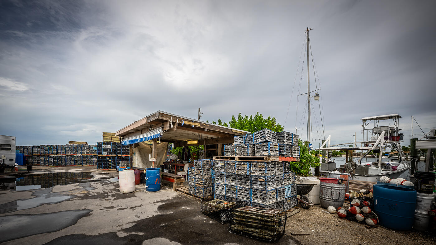 15 Seaview Avenue Property Photo 22