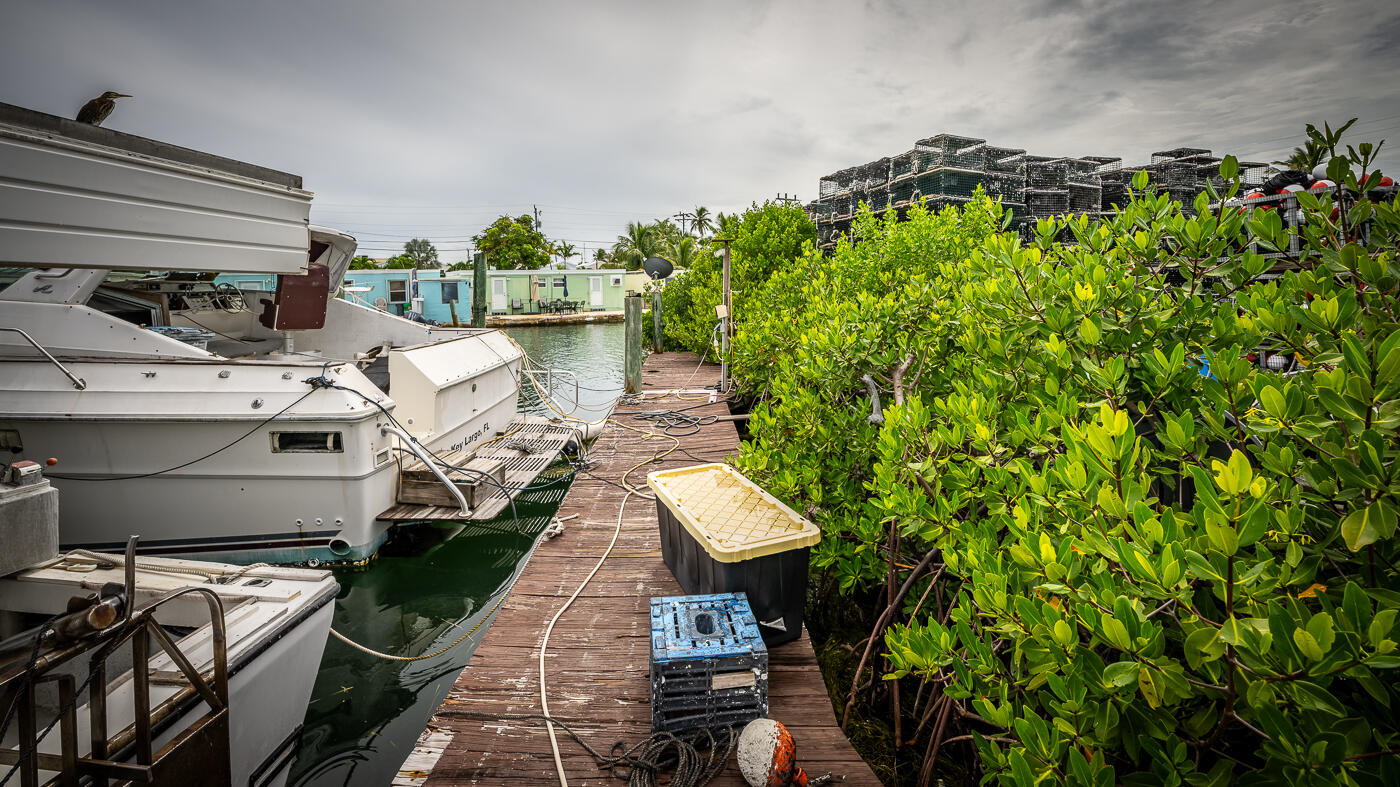 15 Seaview Avenue Property Photo 29