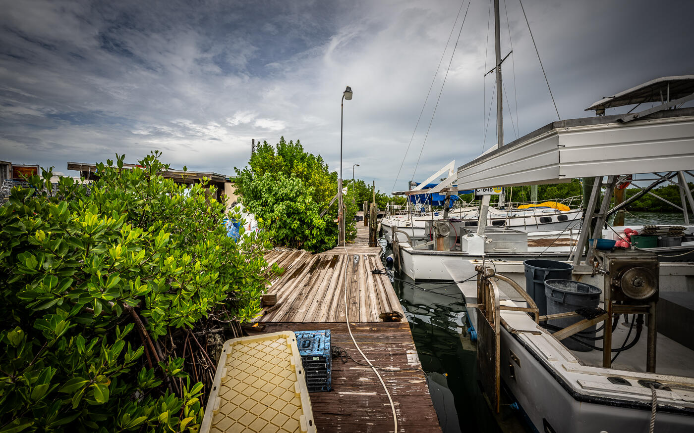 15 Seaview Avenue Property Photo 30