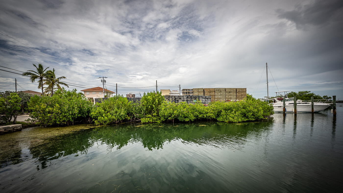 15 Seaview Avenue Property Photo 37
