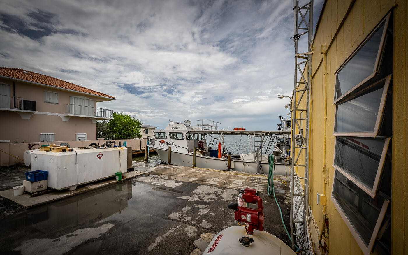 15 Seaview Avenue Property Photo 38