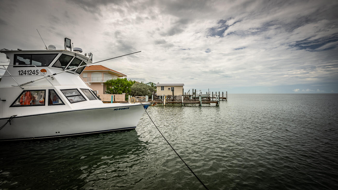 15 Seaview Avenue Property Photo 41