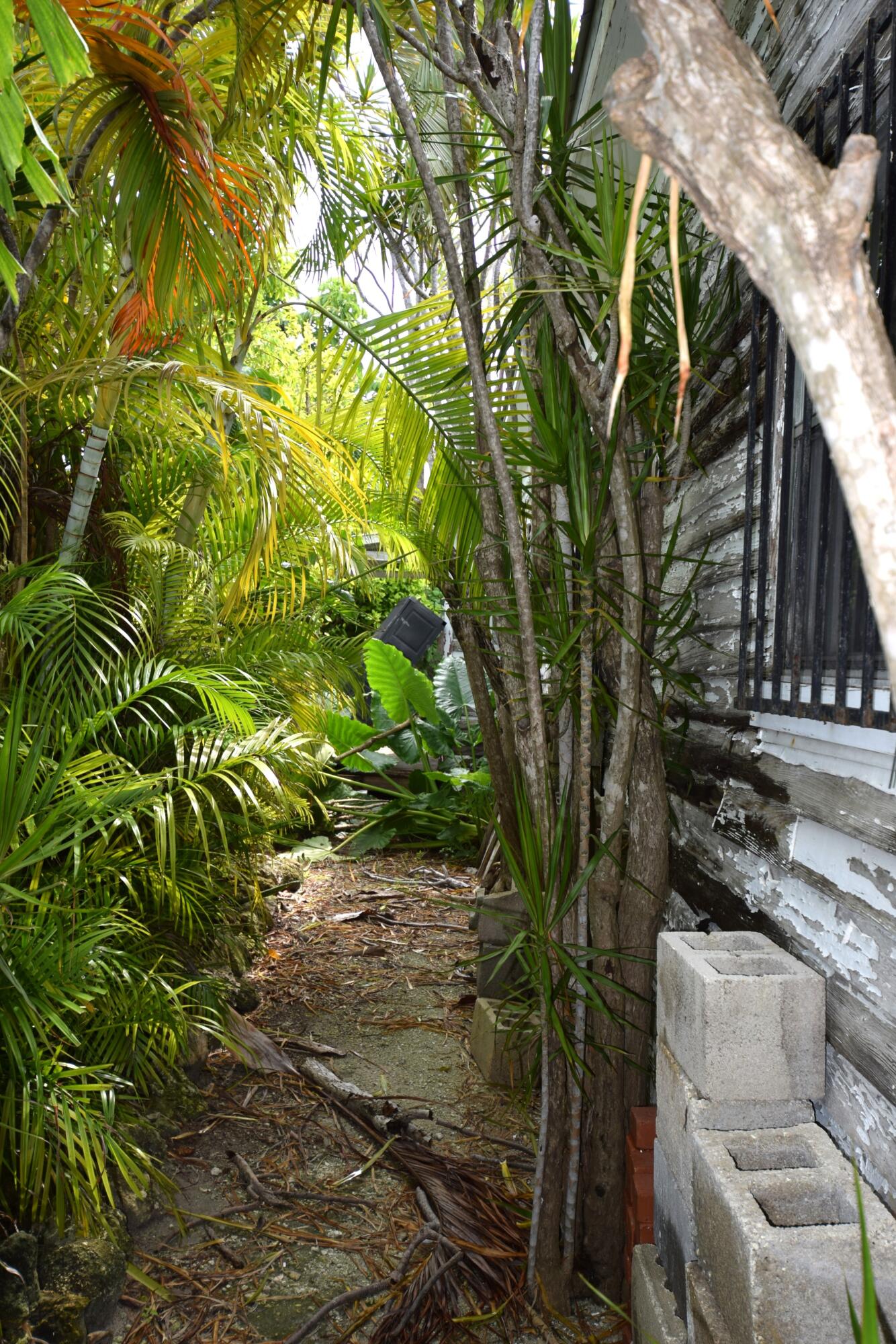 1102 Whitehead Street Property Photo 6